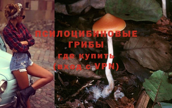 синтетический гашиш Вязьма