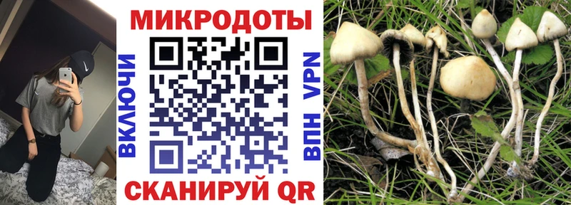 Галлюциногенные грибы прущие грибы Октябрьский
